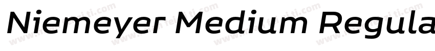 Niemeyer Medium Regular字体转换